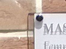 plaque murale plexiglass
