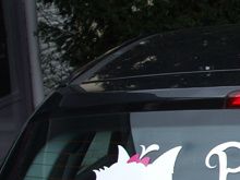 lettrage voiture